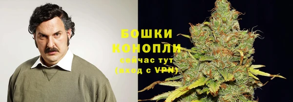 ПСИЛОЦИБИНОВЫЕ ГРИБЫ Балабаново
