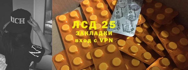 ПСИЛОЦИБИНОВЫЕ ГРИБЫ Балабаново