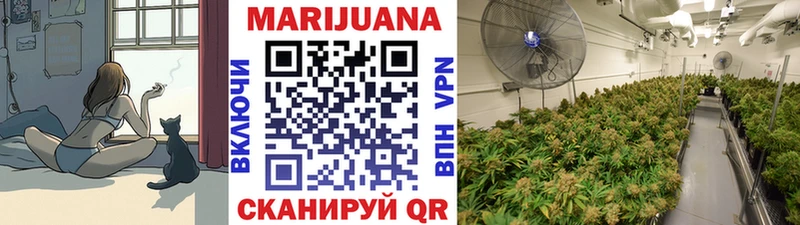 Марихуана план  Нерюнгри 